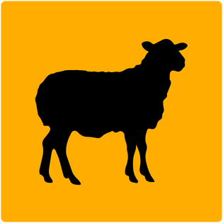 LAMB