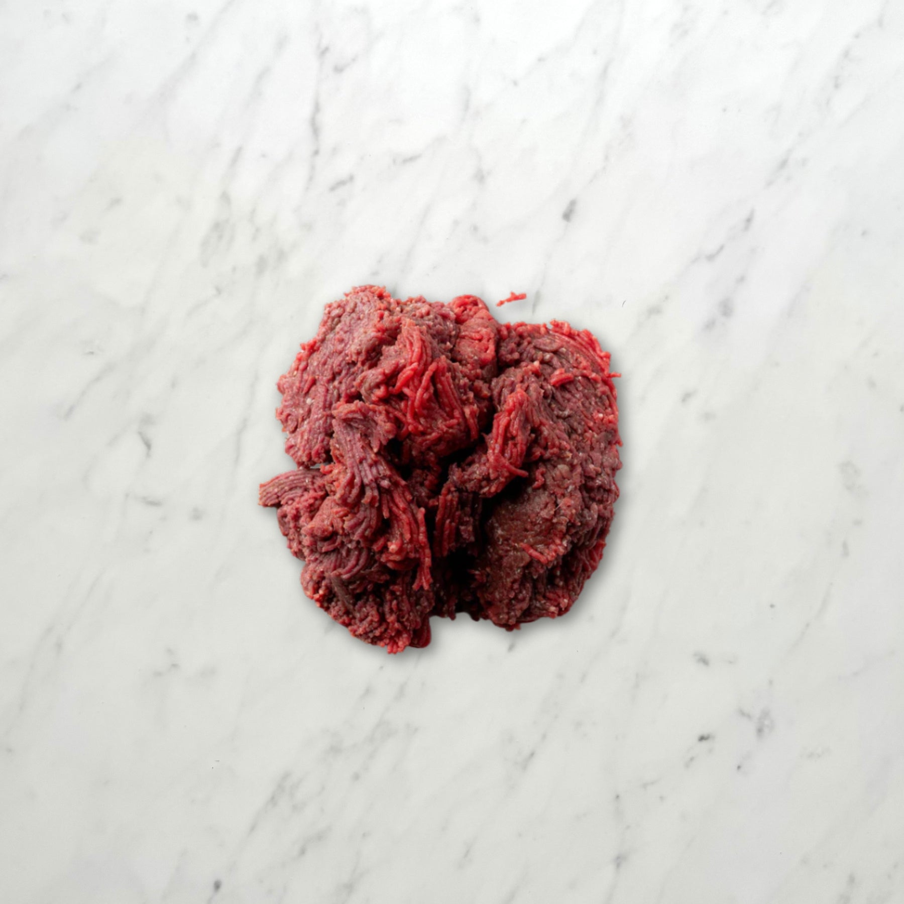 Ground Bison