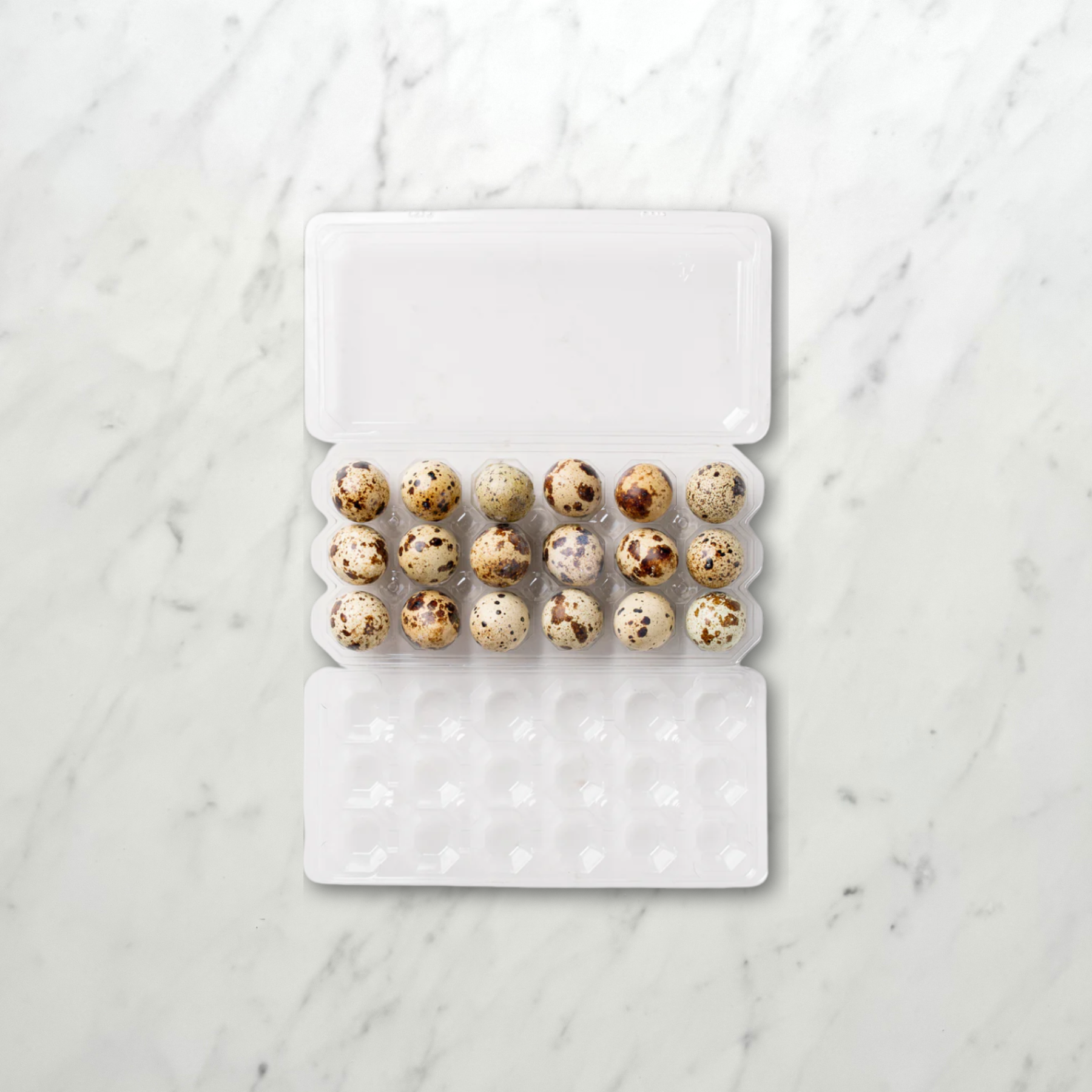 Quail Eggs