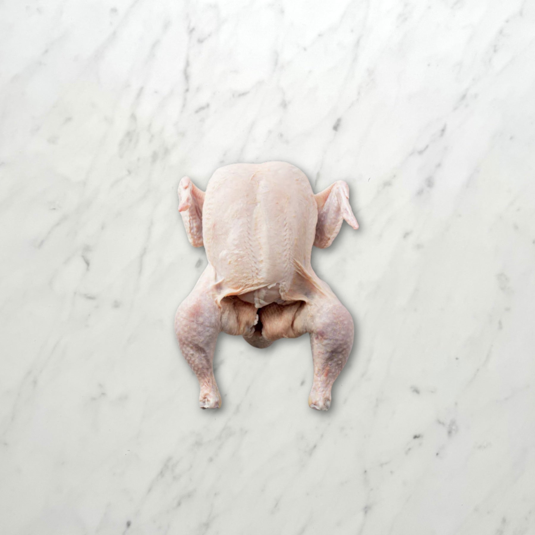 Whole BBQ Chicken